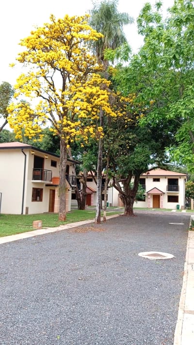 Alquilo Casa a estrenar en Barrio Cerrado Fdo Zona Nore