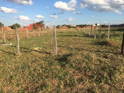 POR MOTIVO DE SALUD SE DA EN OFERTA LOTE