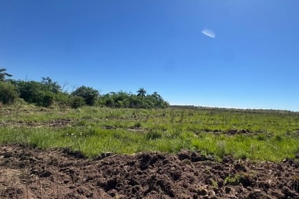 En venta propiedad rural en San Juan Nepomuceno/Caazapá de 176 ha 1.608 m²