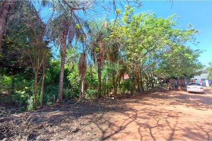 VENDO TERRENO EN ISLA BOGADO