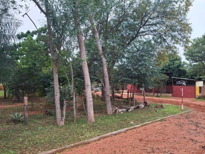 EL TERRENO IDEAL PARA TU INVERSION