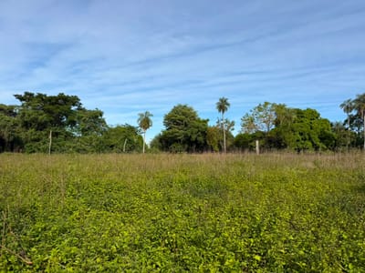 TERRENO DE 3 HECTÁREAS EN VILLETA