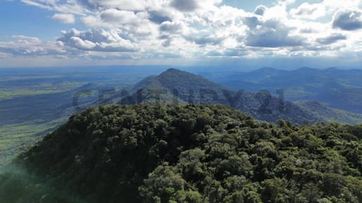 EN VENTA – Cerro Tres Kandú | 1.013 Hectáreas En El Punto Más Alto Del Paraguay
