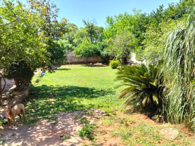 VENDO TERRENO EN LUQUE - Direccion 4 de octubre y america