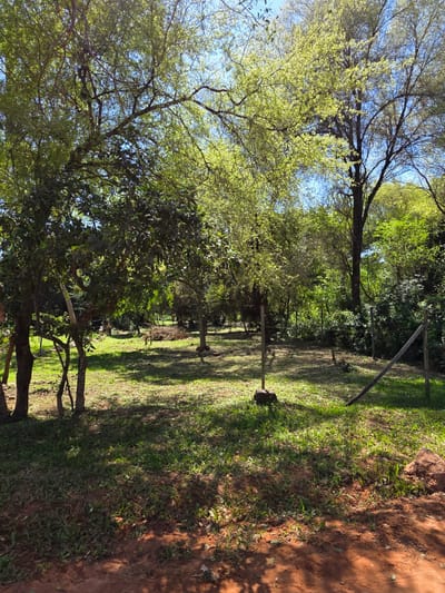 Terreno 406 m² en Zárate Isla Luque con acceso rápido a Asunción