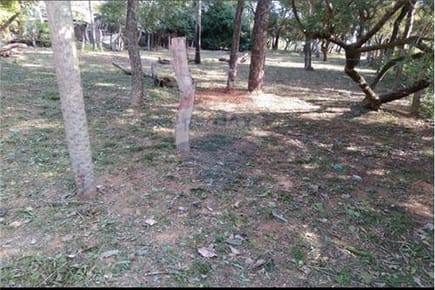 OPORTUNIDAD DE TERRENO EN CIERVO CUA