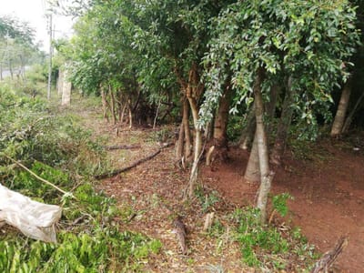 Terreno en esquina sobre ruta asfaltada en Emboscada