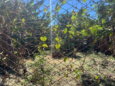 Vendo Terreno En San Lorenzo – Zona Palacio De Justicia (12 X 33)