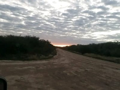  VENDO ESTANCIA EN ALTO PARAGUAY-FORTIN FLORIDA, 1500HAS