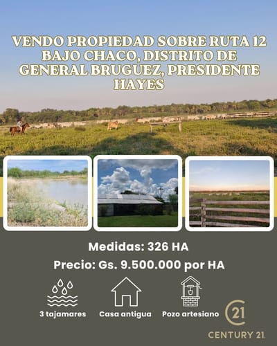 VENDO PROPIEDAD SOBRE RUTA 12 - BAJO CHACO