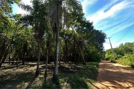 Terreno - Venta - Altos, Cordillera, Paraguay