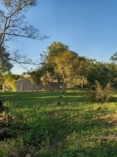 Vendo terreno en Nueva Colombia - Boquerón