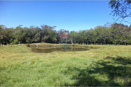 Estancia/Campo - Venta - Isla Pucú, Paraguay
