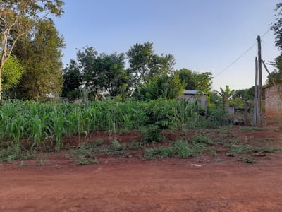 Vendo 2 Terrenos Juntos Km 29 Monday Minga Guazu, Por: 70 Millones Cada Uno