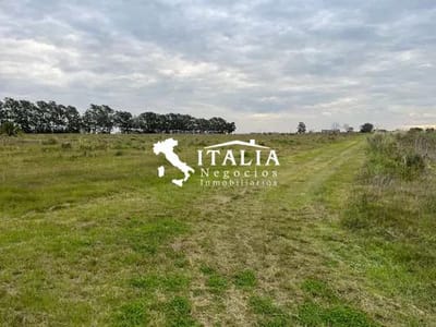 Sobre Ruta 1 Terreno 5 Hectáreas A 15 Minutos Del Puerto