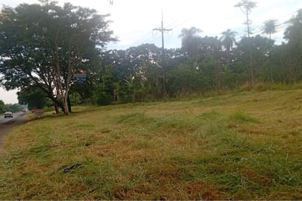 Terreno - Venta - Guayaibí, San Pedro, Paraguay