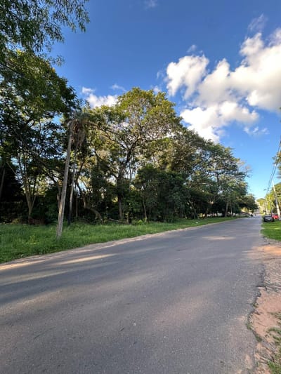 Vendo Terreno De 3.784 M2 En San Bernardino Sobre Asfalto Ruta Al Anfiteatro
