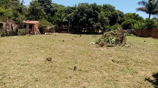 VENDO TERRENOS EN SAN ANTONIO