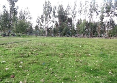 TERRENO EN VENTA 1056 M2 URPAYCANCHA - EL TAMBO - HUANCAYO