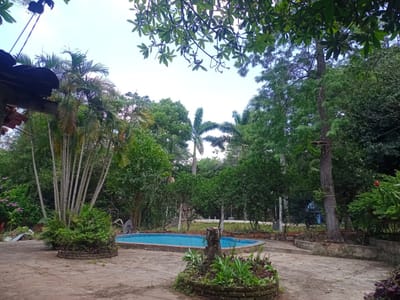 CASA QUINTA EN CAACUPÉ | 1.990 M²