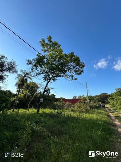 TERRENO EN VENTA - SAN BERNARDINO