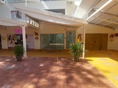 ALQUILER DE LOCAL COMERCIAL – AVENIDA BOGGIANI