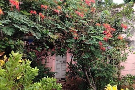 EN VENTA CASA A REFACCIONAR O DEMOLER