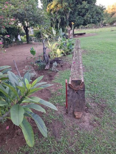VENTA - Propiedad rural 56 ha sobre Río Manduvirá - Arroyos y Esteros