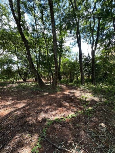 Venta de Terreno en Fernando de la Mora, Central