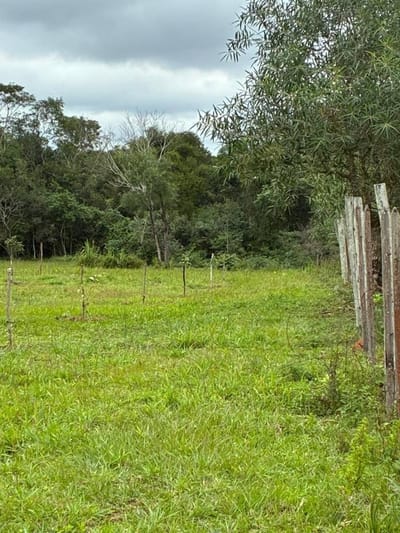   VENDO 10 HECTÁREAS SANTA ELENA CORDILLERA 