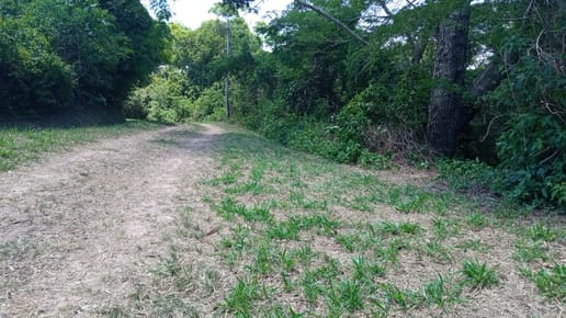 Hermoso Propiedad De Casi 1hectárea En Urbanizacion  A 5km De La Guardia