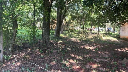 Vendo estancia en Cnel. oviedo 