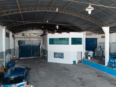 EN VENTA TINGLADOS EN VILLA ELISA.