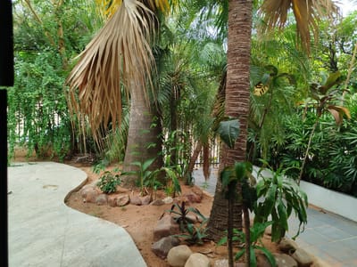 CASA EN MBACHIO LAMBARÉ ID 16212