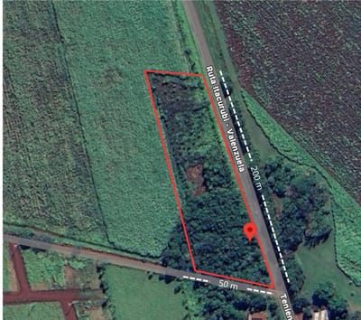 VENDO TERRENO EN VALENZUELA | 1 HECTÁREA SOBRE RUTA ASFALTADA