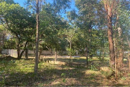 Hermoso Terreno En Sam Bernardino