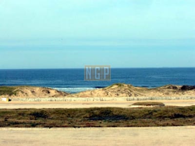 Apto FRENTE AL MAR