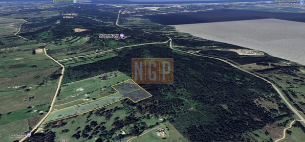 Campo de 5 has con 4658 m2 en La Pataia