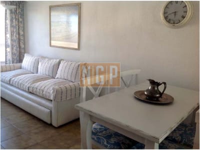 Apartamento 1 dormitorio en Península