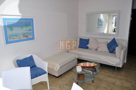 Apartamento 1 dormitorio en Península