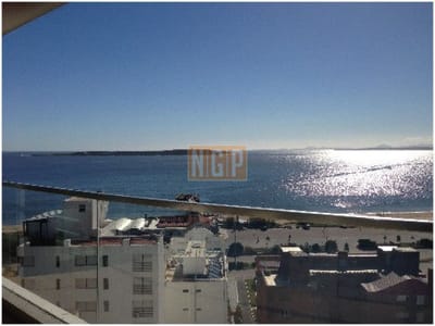 DIVINO IMPECABLE CON SERVICIOS