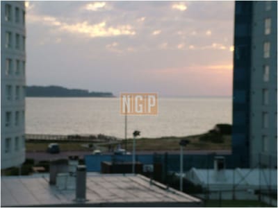APARTAMENTO CON EXCELENTES SERVICIOS