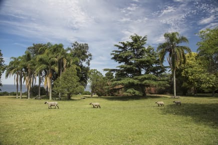La Baguala. Amenities. Seguridad. Primera categoria en la costa oeste de Mdeo.