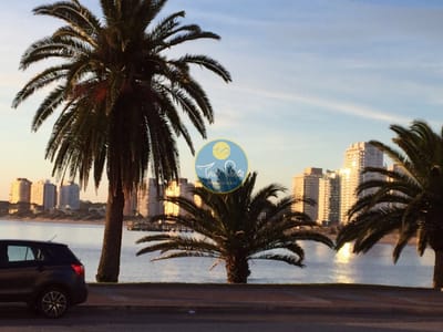 VENTA APARTAMENTO PRIMERA LINEA 3 DORMITORIOS FRENTE AL MAR EN PENINSULA PUNTA DEL ESTE