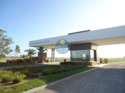 50 metros de costa, acepta financiacion, venta, chacra, Punta del Este, Uruguay, LAGUNA DE LOS CISNES