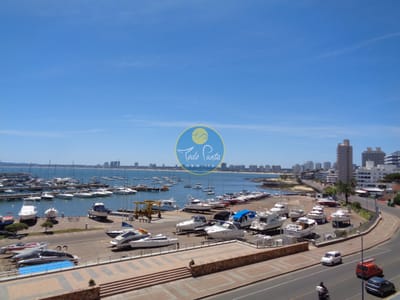 Punta del Este es para vivirlo... Espectacular apartamento con barbacoa en 8vo piso, frente al Puerto, Punta del Este, Alquiler invernal