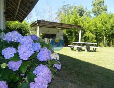 Casa en alquiler El Tesoro