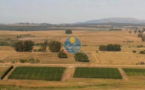 Oportunidad para fraccionar , ideal inversion, Ruta 12, venta, Punta Ballena