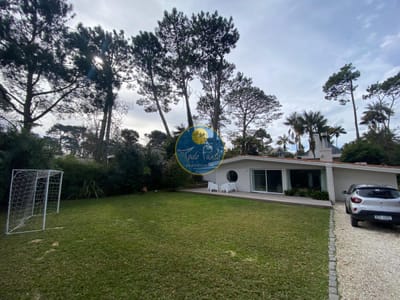 LIBRE PRIMERA QUINCENA DE ENERO ALQUILER EN PUNTA DEL ESTE