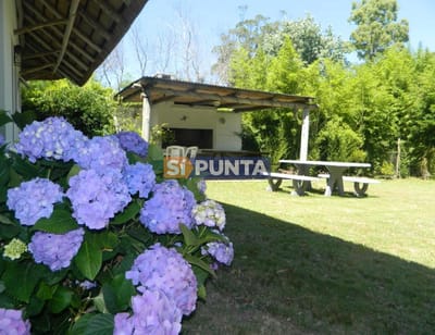 Casa en alquiler El Tesoro